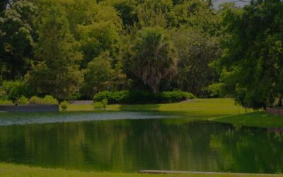 Pond Aeration System: How to Protect Houston HOA Ponds from Decline